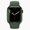 Refurbished Apple Watch Series 7 45mm aluminium groen wifi met groen sportbandje                            
