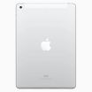 Refurbished iPad 2017 32GB Silver 4G