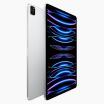 iPad Pro 11 inch (2022) 128GB Zilver Wifi + 5G