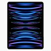 iPad Pro 12.9 Inch (2022) 256GB Zilver Wifi Only