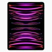 iPad Pro 12.9 Inch (2022) 128GB Space Grey Wifi Only