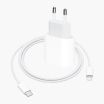 USB-C-naar-lightning laadset                            