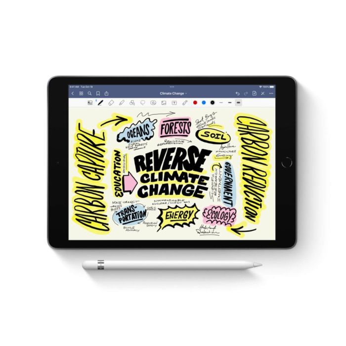 Apple Pencil (1e generatie)                            
