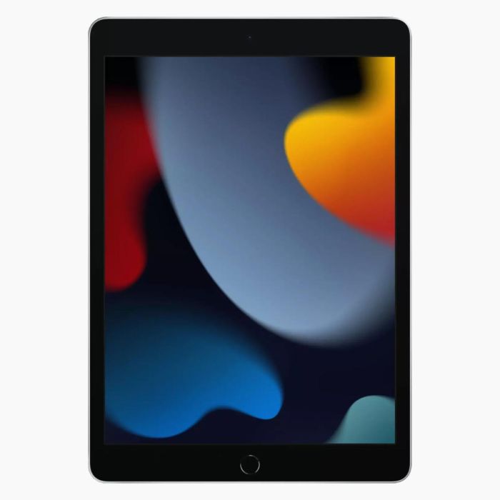 Refurbished iPad 2021 256GB Zilver 4G