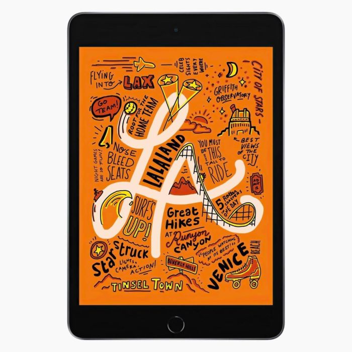 Refurbished iPad Mini 5 256GB Space Grey 4G