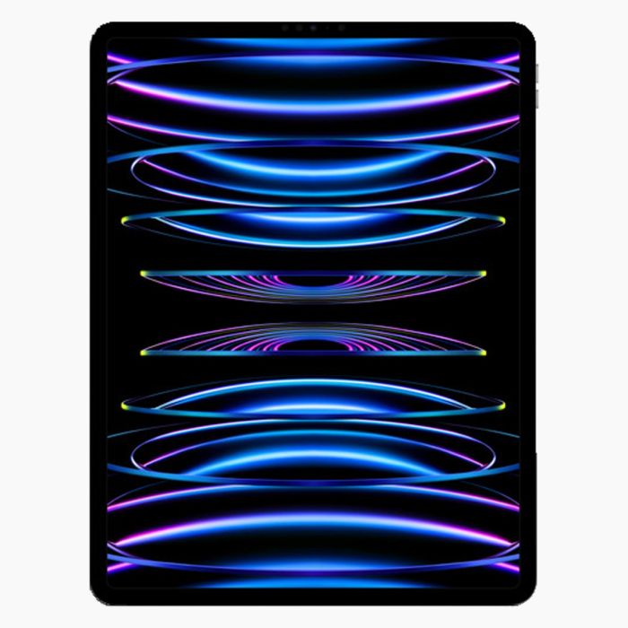 iPad Pro 12.9 Inch (2022) 256GB Zilver Wifi Only