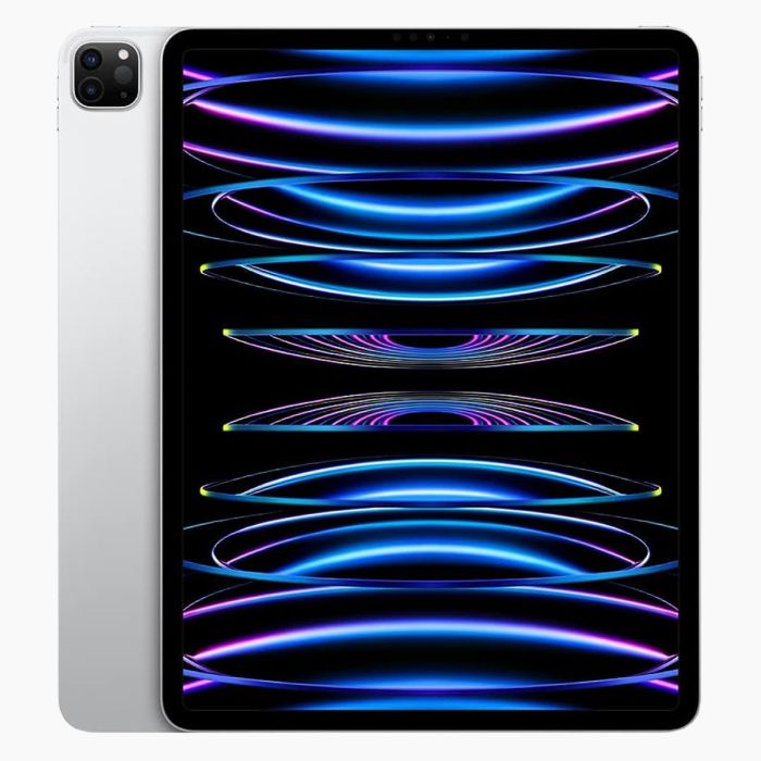 iPad Pro 11 inch (2022) 128GB Zilver Wifi + 5G