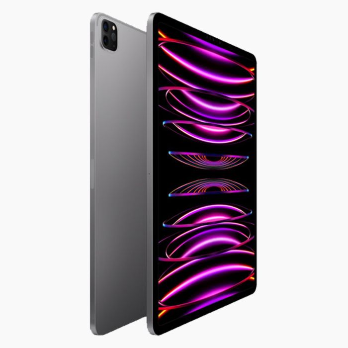 iPad Pro 11 inch (2022) 512GB Zwart Wifi + 5G