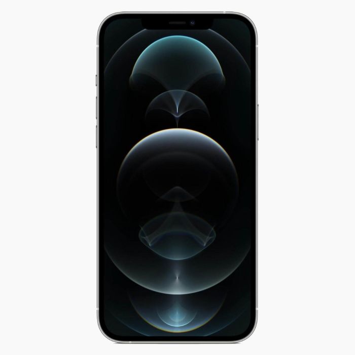 Refurbished iPhone 12 Pro Max 128GB Zilver                            