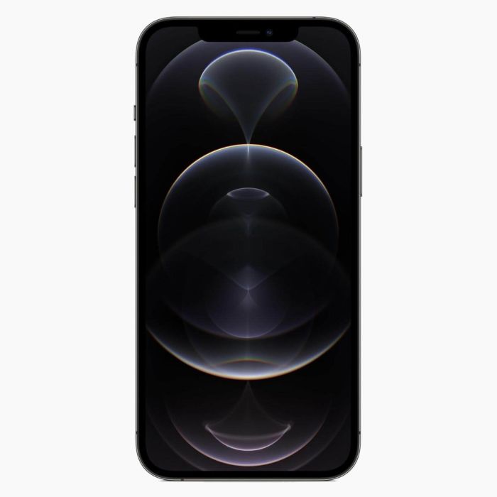 Refurbished iPhone 12 Pro Max 128GB Zwart                            