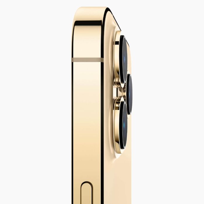 Refurbished iPhone 13 Pro Max 256GB Goud                            