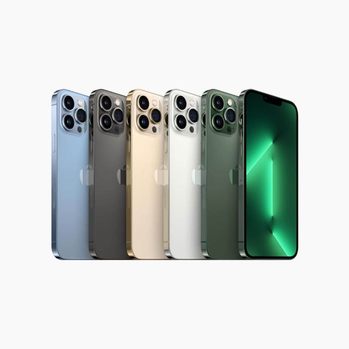Refurbished iPhone 13 Pro Max 256GB Blauw                            