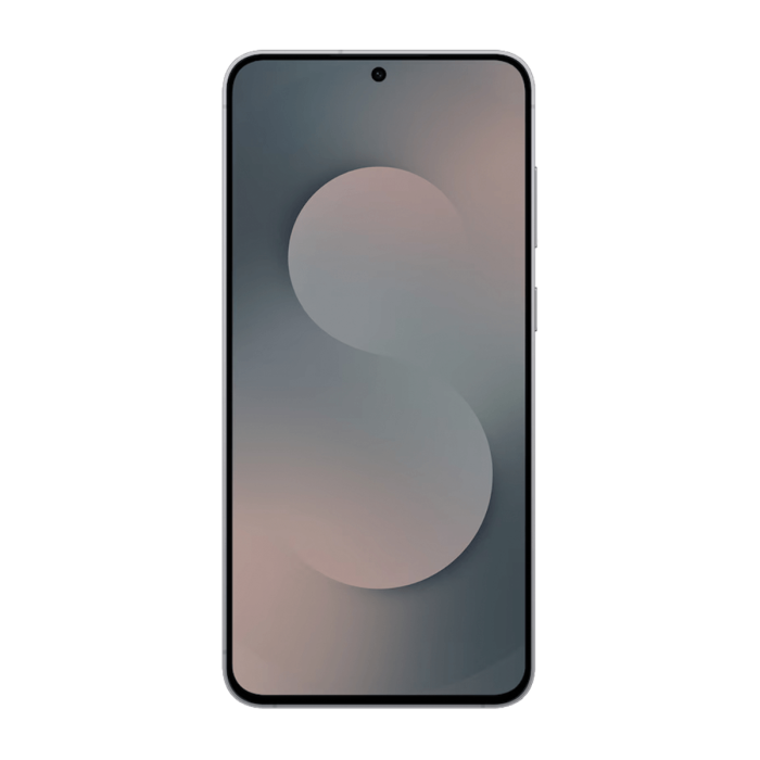 Samsung Galaxy S25 FE 128GB Zwart ( Dual Sim)                            