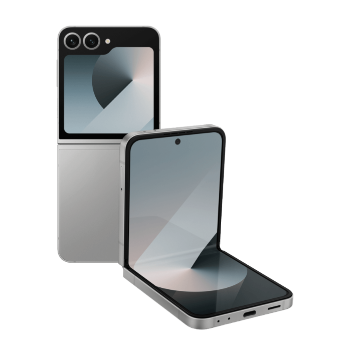 Samsung Galaxy Z Flip 6 5G 512GB Grijs (Dual Sim)                            